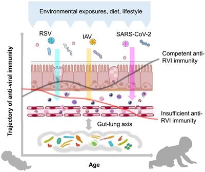 A clinical protocol for a German birth cohort study of the Maturation of Immunity Against respiratory viral Infections (MIAI)